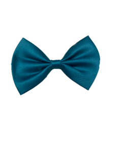Turquoise Bow Tie