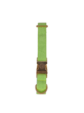 Load image into Gallery viewer, Green Collar and Leash Set
